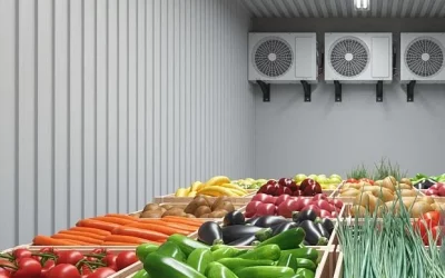 El futuro del frío industrial ante las nuevas restricciones medioambientales