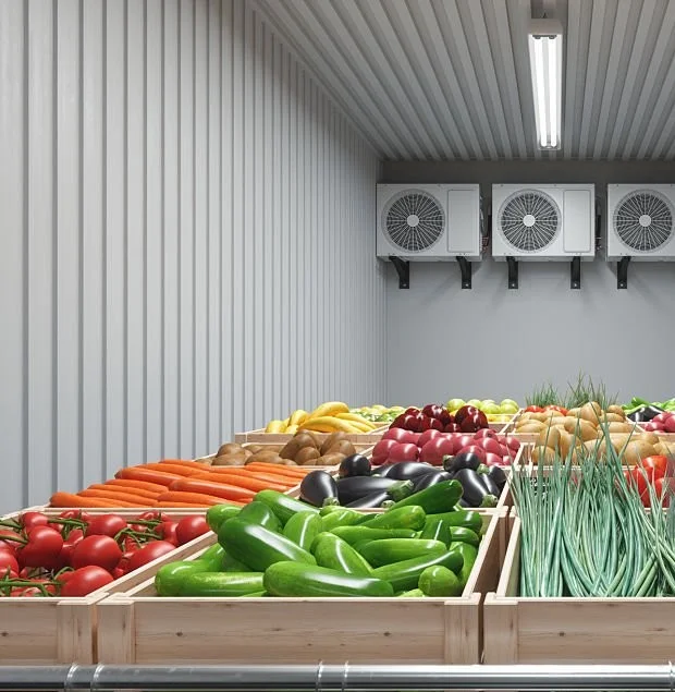 El futuro del frío industrial ante las nuevas restricciones medioambientales