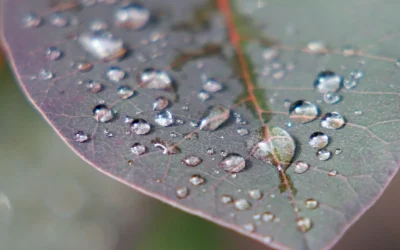 Temperatura de rocío: qué es y por qué es importante en climatización